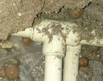 屏边测漏水多少钱