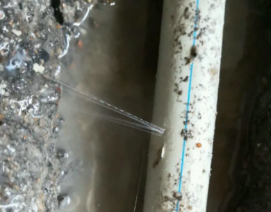 屏边测漏水哪家好