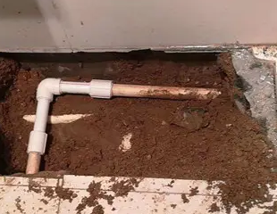 屏边测漏水哪家好