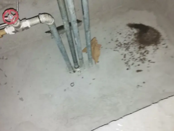 屏边卫生间测漏水价格明细