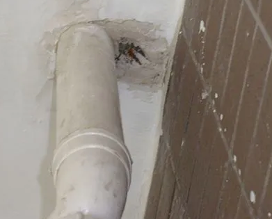 屏边漏水检测哪家好